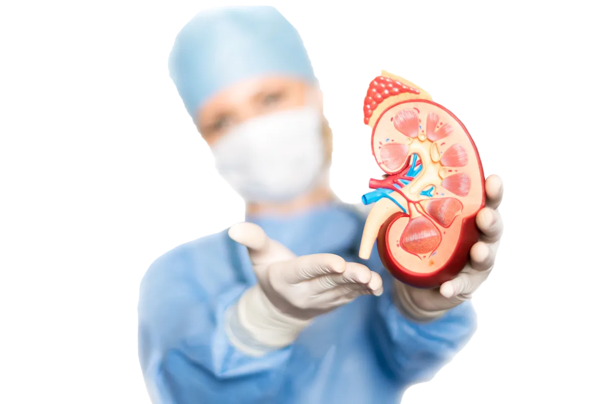Nephrology & Urology in Chennai
