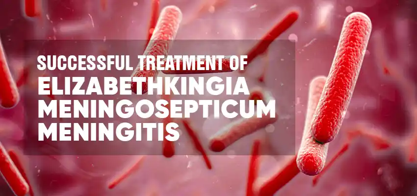 Successful Treatment of Elizabethkingia Meningosepticum Meningitis
