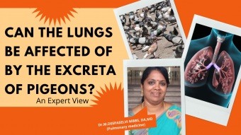 Can the lungs be affected by the excreta of pigeons 