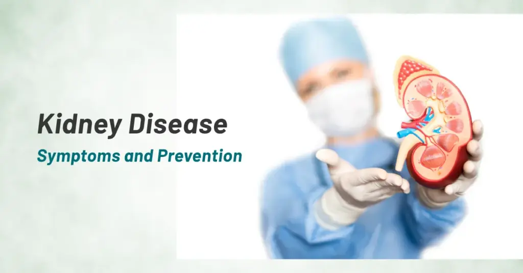Kidney Disease - Symptoms and Prevention