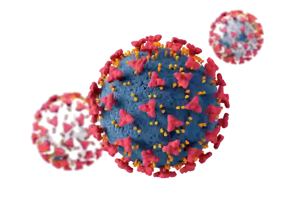 Infectious Disease Care Hospital in Chennai