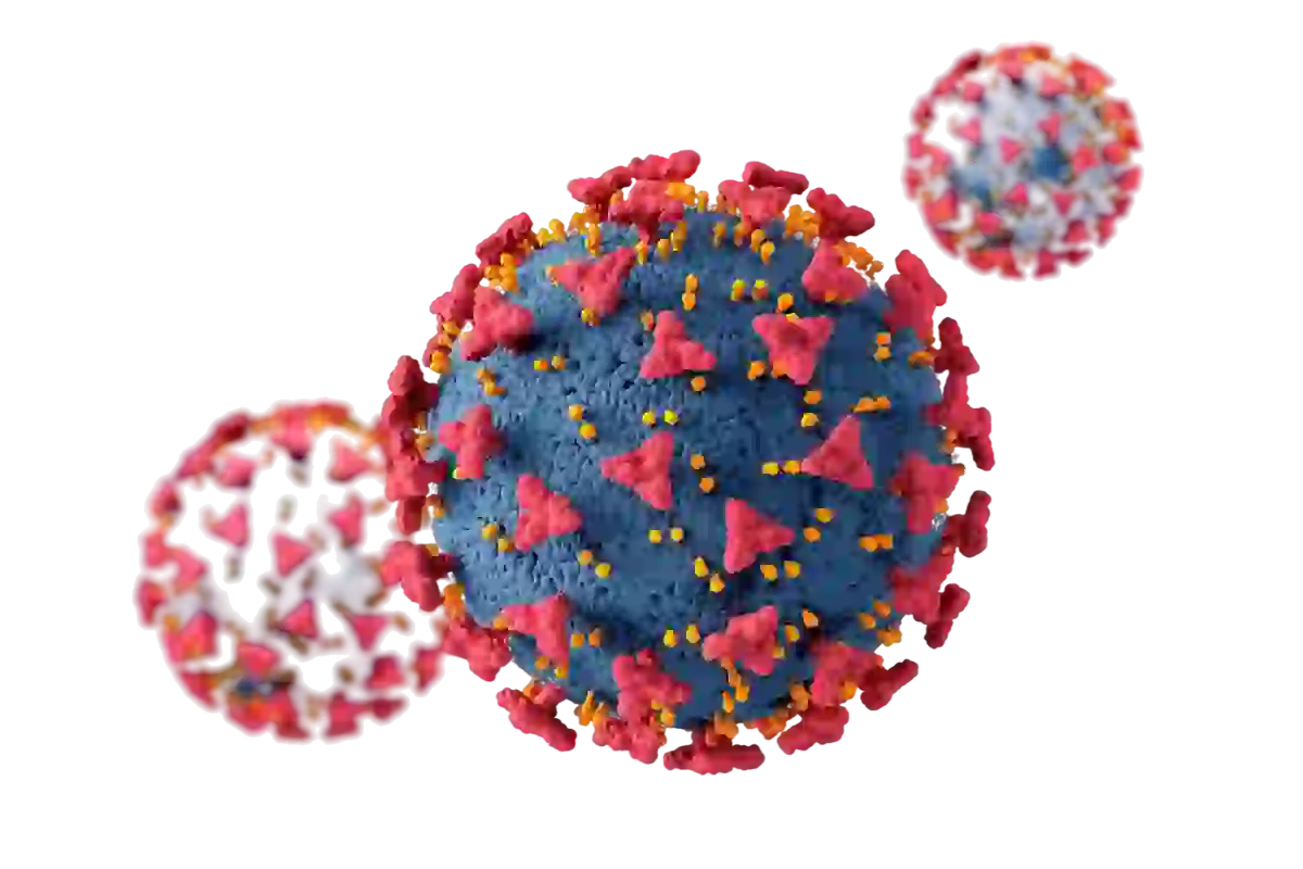 Infectious Diseases