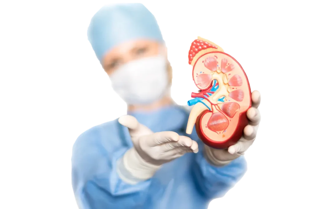 Nephrology & Urology in Chennai