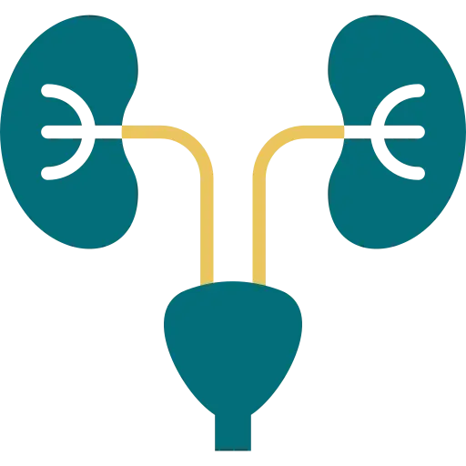 Nephrology & Urology in Chennai