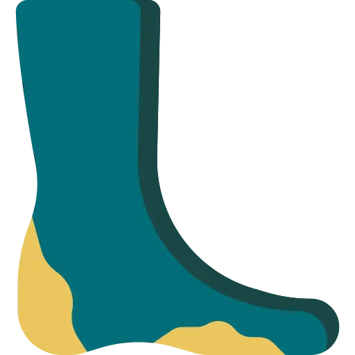 Podiatric and Diabetic Foot