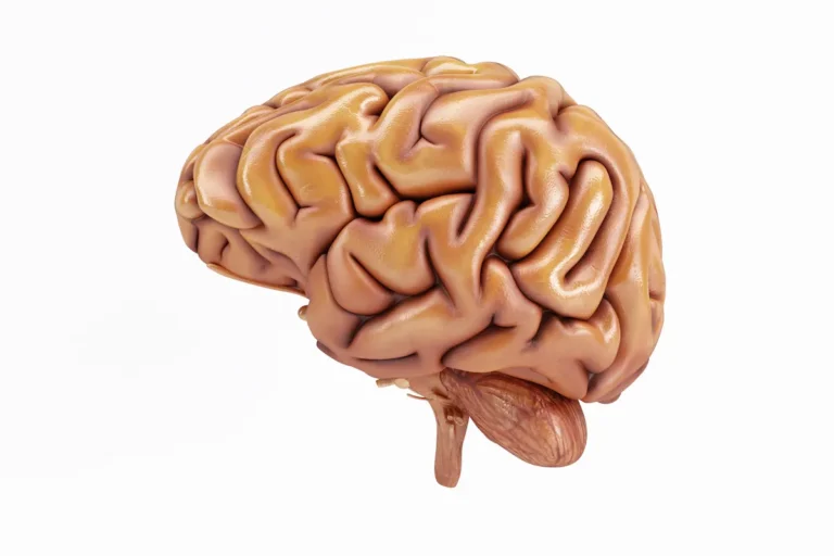 Comprehensive Solutions for Neurological Disorders