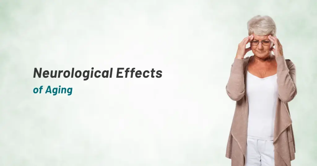 Neurological Effects of Aging