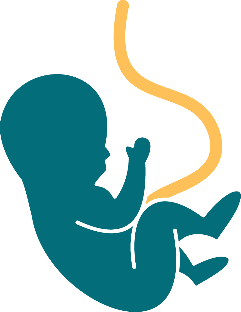 Fertility Centre- Prashanth Hospitals