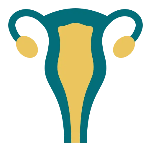 Maternity Hospital in Chennai