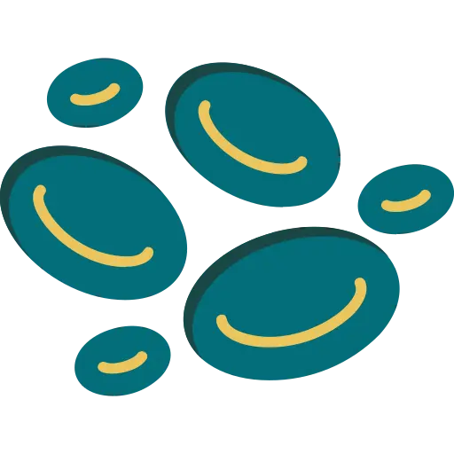 best hematology hospital in Chennai