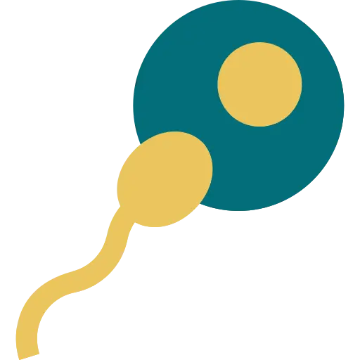 Fertility Hospital in Chennai