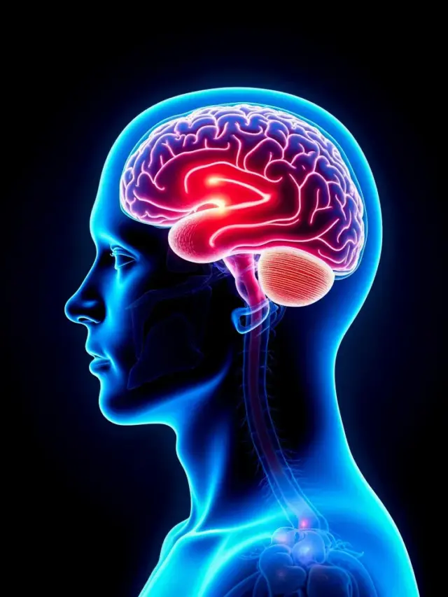 Natural Ways to Improve Brain Function