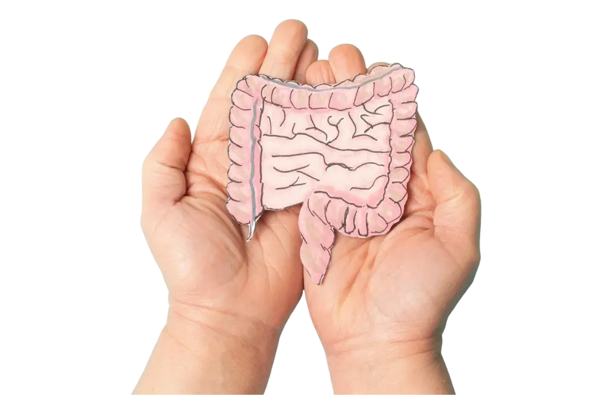 gastroenterology hospital Chennai