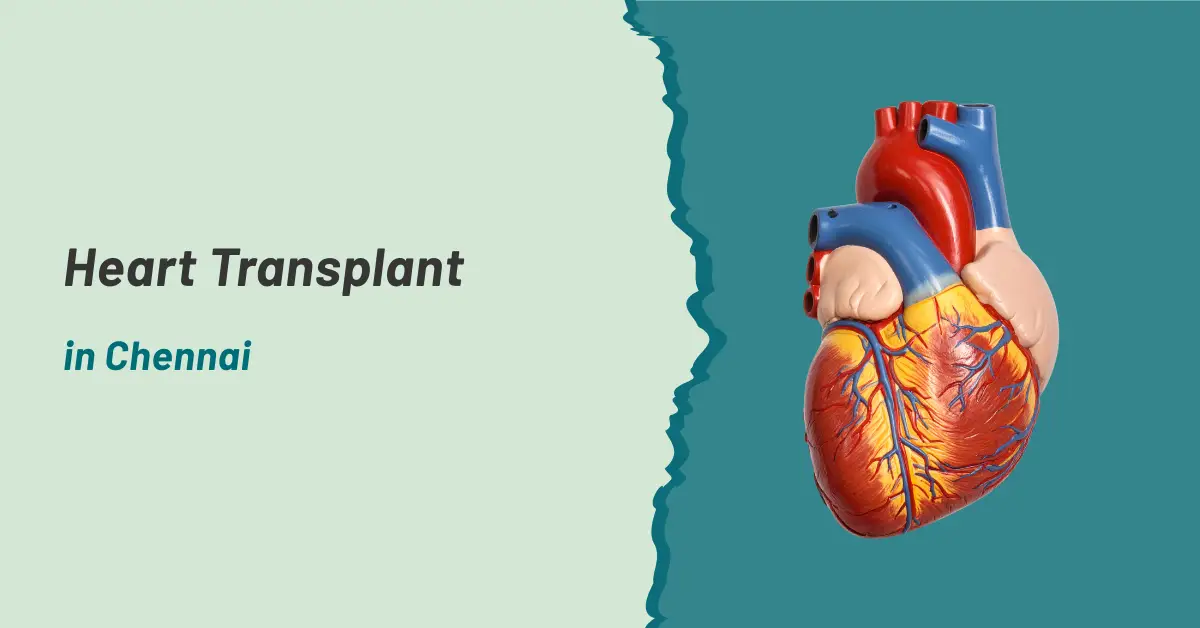 Heart Transplant in Chennai | Prashanth Hospitals