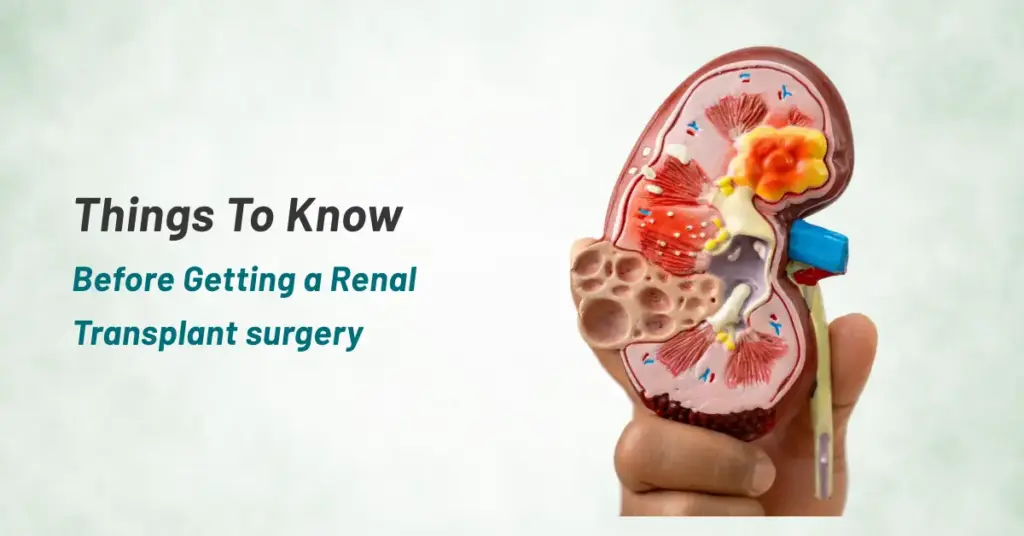 Important Things To Know Before Getting a Renal Transplant surgery