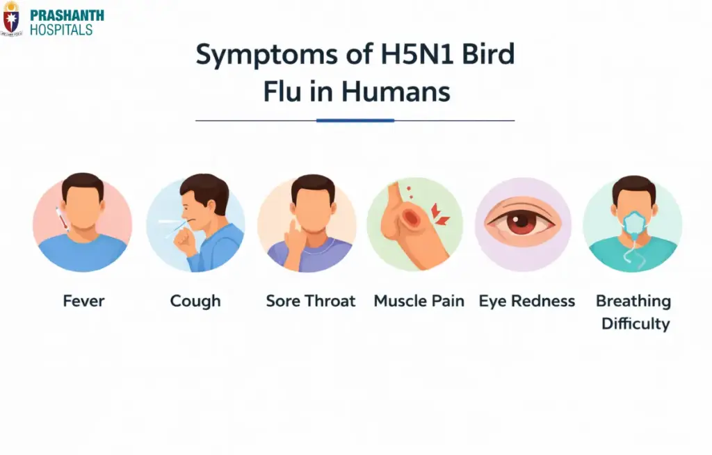 H5N1 Bird flu in Chennai