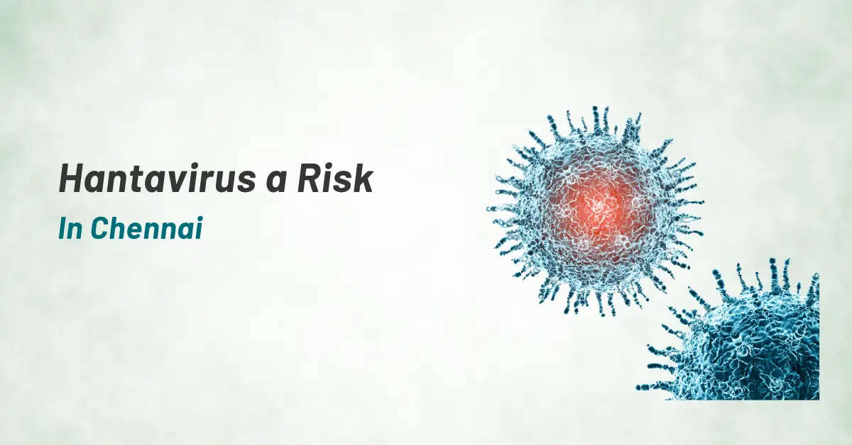 Hantavirus a Risk In Chennai