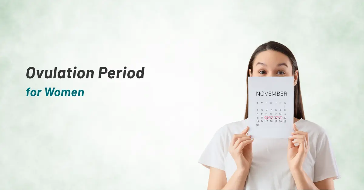 Ovulation Period for Women