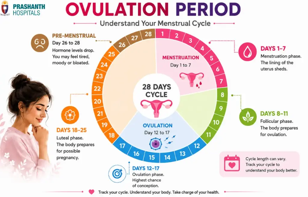 ovulation period for women