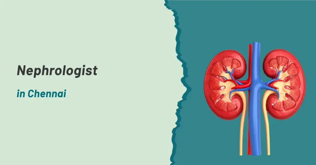 Nephrologist In Chennai