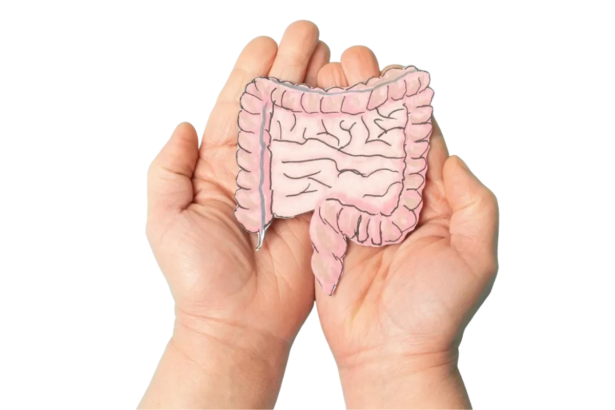 gastroenterology hospital Chennai