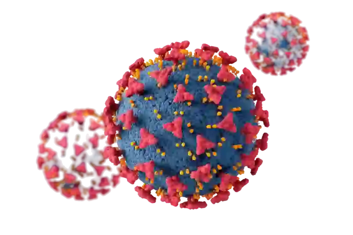 Infectious Disease Care Hospital in Chennai