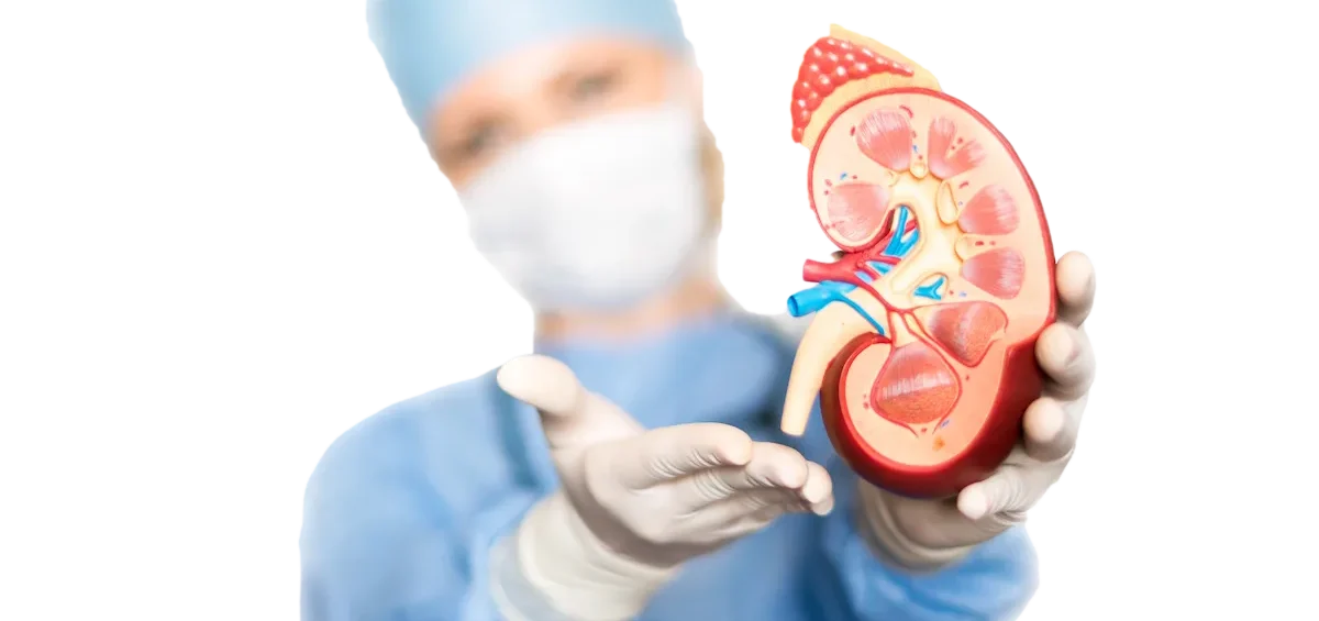 Nephrology & Urology in Chennai