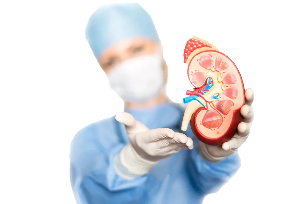 Nephrology & Urology in Chennai