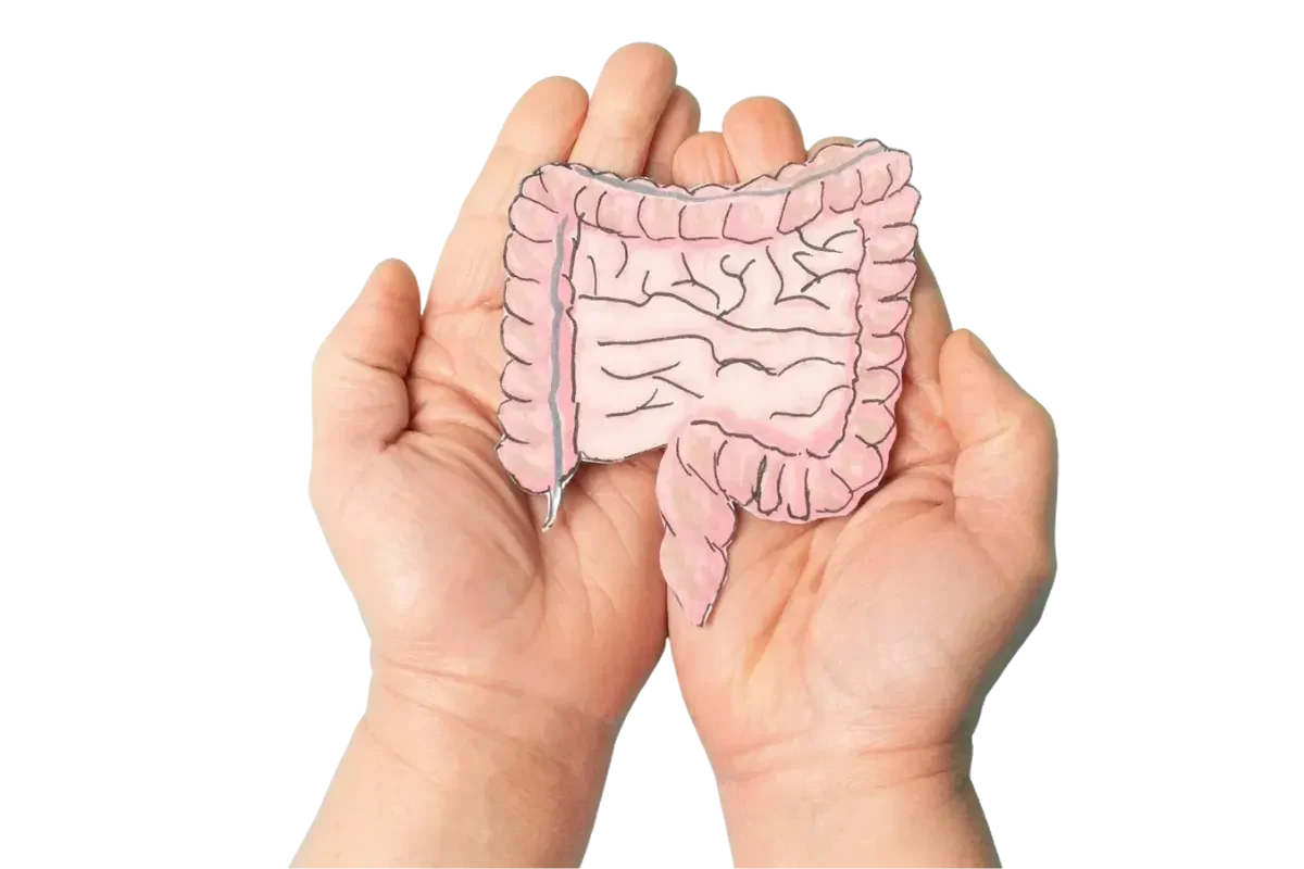 gastroenterology hospital Chennai